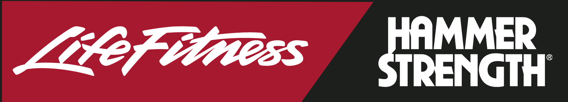 Life Fitness Logo